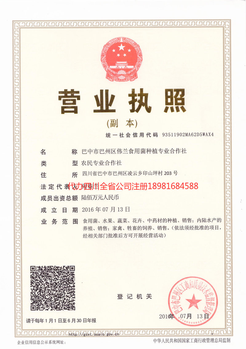 大竹大竹伟兰食用菌种植专业合作社